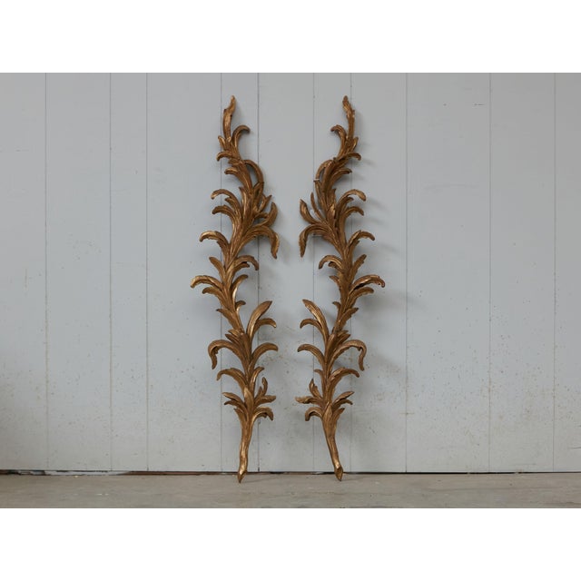A pair of Italian carved giltwood wall decorations from the early 19th century, with scrolling foliage. We currently have...