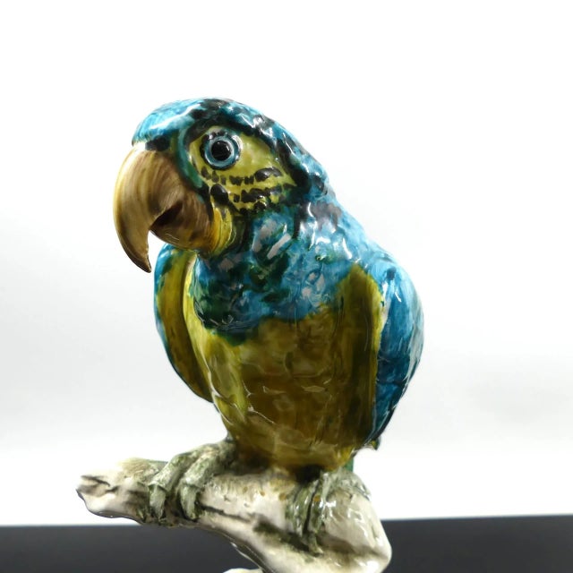 Italian Ceramic Parrot by Guido Cacciapuoti, Italy, 1930s For Sale - Image 3 of 12