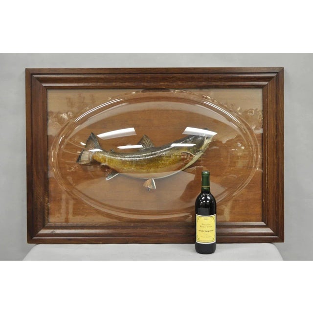 Impressive Antique Victorian Taxidermy Spotted Trout in Large Convex Bubble Glass Frame. Fish is believed to be "real" but...