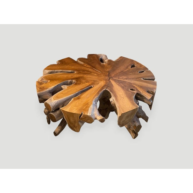 Andrianna Shamaris Organic Teak Wood Round Coffee Table For Sale - Image 13 of 18
