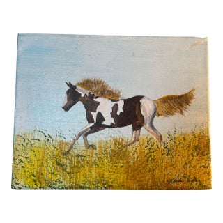Pinto American Paint Horse Original Acrylic Painting 8x10 Stretched Canvas Signed C.Gilliam For Sale