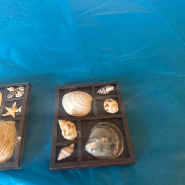 Coastal Coastal Shell Shadow Box Magnets – Set of 2 For Sale - Image 3 of 4