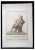 Ferdinando Campana, Dionysus, Ancient Roman Statue, Etching, 18th Century For Sale