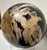 Wood Two Polished Petrified Wood Organic Spheres. For Sale - Image 7 of 10