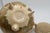 Japanese Japanese Satsuma Tripod Flower Censer Meiji Period For Sale - Image 3 of 14