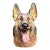 Porcelain German Shephard Dog Bust by Zaphir, a Line by Lladro, Made in Spain, 1970s For Sale
