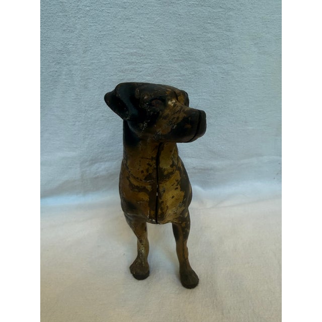 Cast Iron Male Mastiff. With Cropped tail