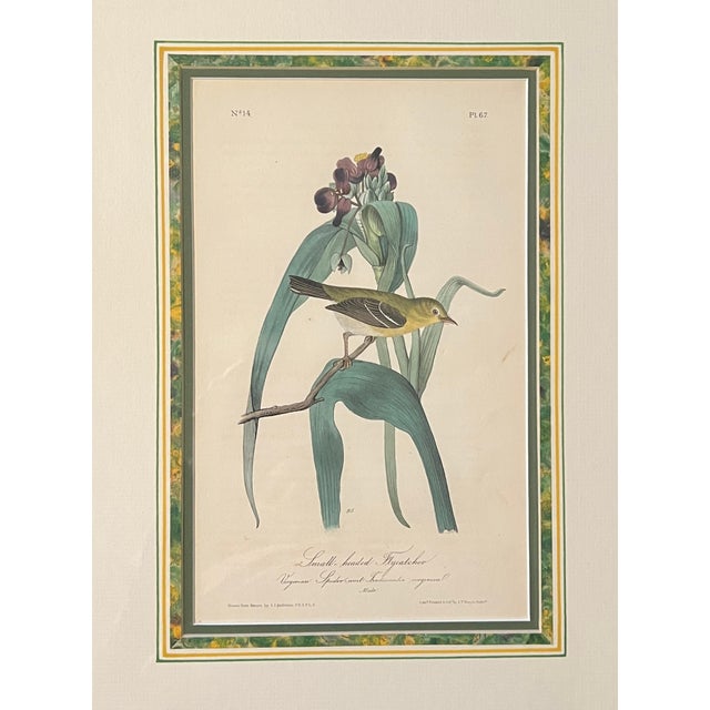 Mid 20th Century Audubon Birds of America (First Edition Royal Octavo) | Antique Prints of Rare Songbird Collection- Set of 4, Framed For Sale - Image 10 of 12