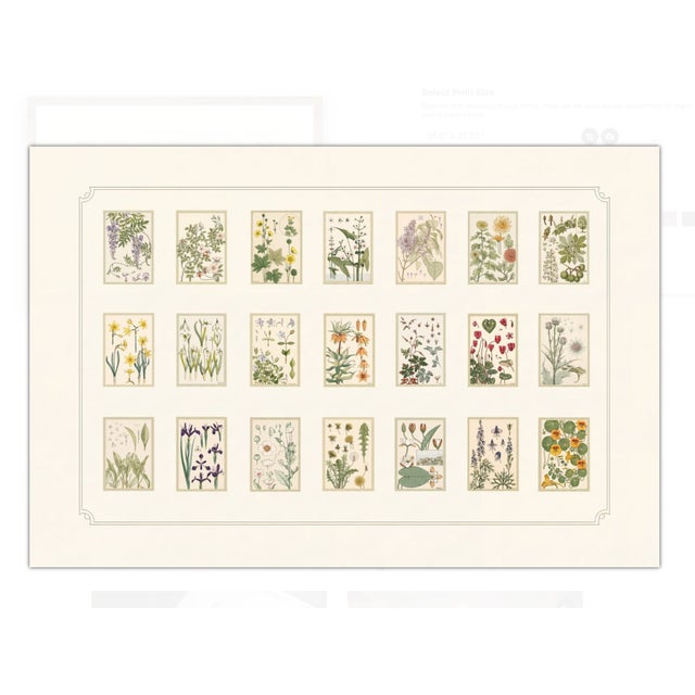 Atelier Aria Lumae Eugene Grasset Maurice Pillard Verneuil Art Nouveau Botanical Specimen Grid Board Print 60 X 40 For Sale - Image 12 of 17