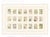 Atelier Aria Lumae Eugene Grasset Maurice Pillard Verneuil Art Nouveau Botanical Specimen Grid Board Print 60 X 40 For Sale - Image 12 of 17