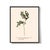 Wine Antique Botanical Set in Oxblood - Set of 8 16" X 20" For Sale - Image 8 of 11