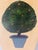 Traditional Hand Painted Wood Planter For Sale - Image 9 of 10