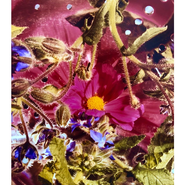 Conundrum, Flowers, Floral Photo The Tappen House, Little Compton, RI (Rhode Island). Hand signed and numbered. small...