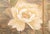 "White Peacock & Peony" by Ryumin, Large Vintage Japanese Painted Silk Byobu Screen For Sale In Dallas - Image 6 of 18
