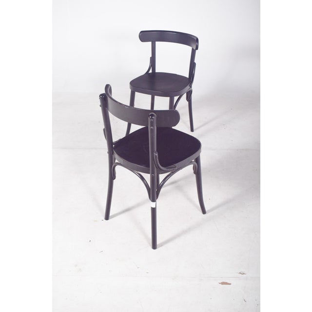 Mid-Century Modern Vintage Black Lacquered Chair, 1950 For Sale - Image 3 of 10