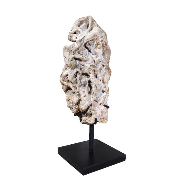 Organic Modern Fossil Scholar Stone For Sale - Image 4 of 8