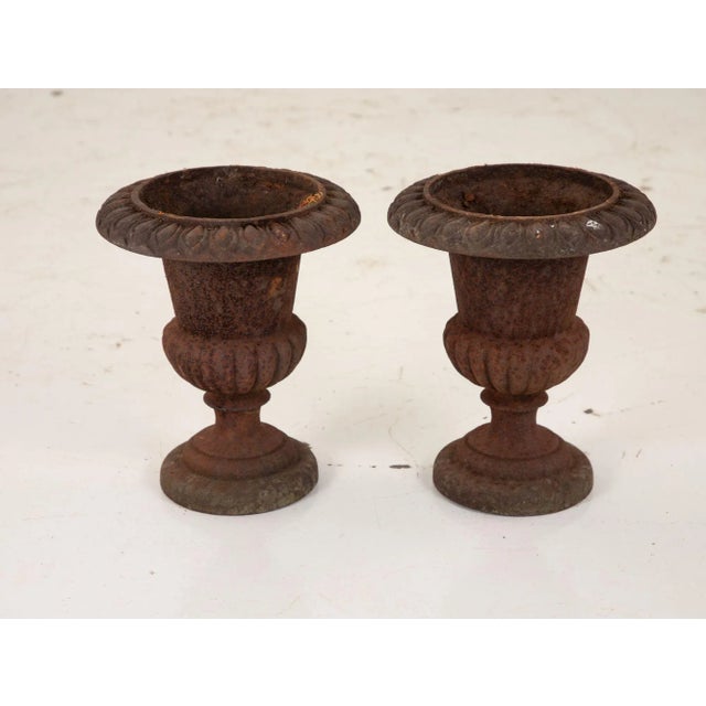 Pair of Cast Iron Urns, French 19th Century For Sale - Image 4 of 13
