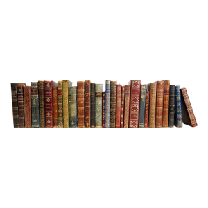Decorative Books - Vintage Petite Leather Mix Books - Leather Books by the Foot
