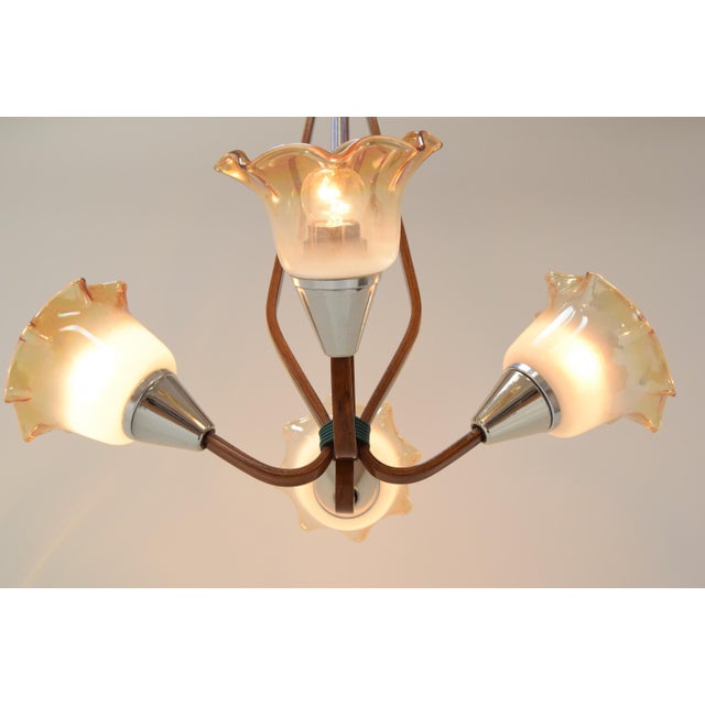 Mid-Century Chandelier, 1960´s For Sale - Image 16 of 18