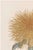 A refined example of late 19th-century Japanese botanical illustration, this vintage Japanese botanical art print...