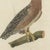 Paper Bertuch, Six Hawks and Buzzards, Birds of Prey, 1805, Print For Sale - Image 7 of 12