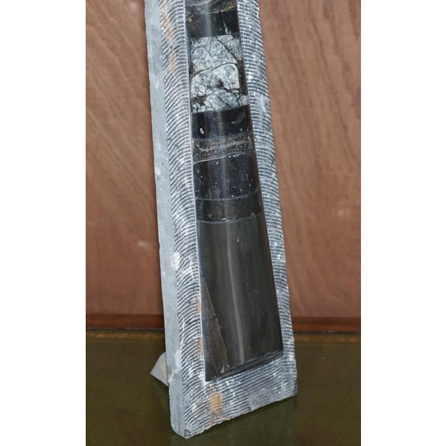 Large Atlas Mountains Fossils, Set of 2 For Sale - Image 13 of 18