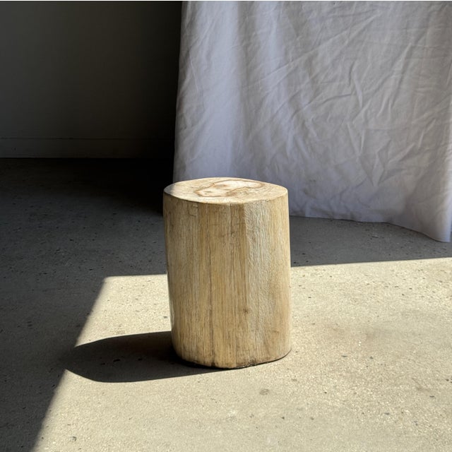Oval White Petrified Wood Side Table, 1980s For Sale - Image 11 of 18