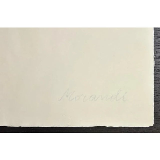 Giorgio Morandi, Landscape, 1959-1973, Lithograph For Sale - Image 6 of 11