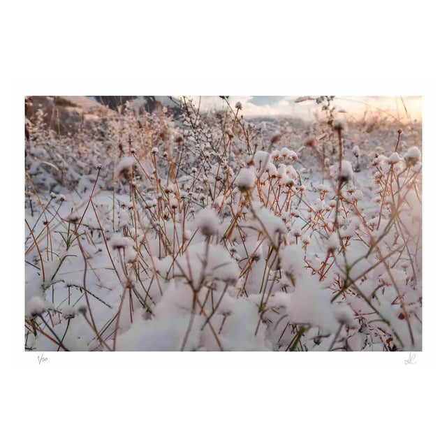 Amanda Ludovisi, Winter, Giclée Print, 2021 For Sale