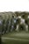 Chesterfield 2.5-seater Sofa in Green Cowhide Leather For Sale - Image 10 of 14