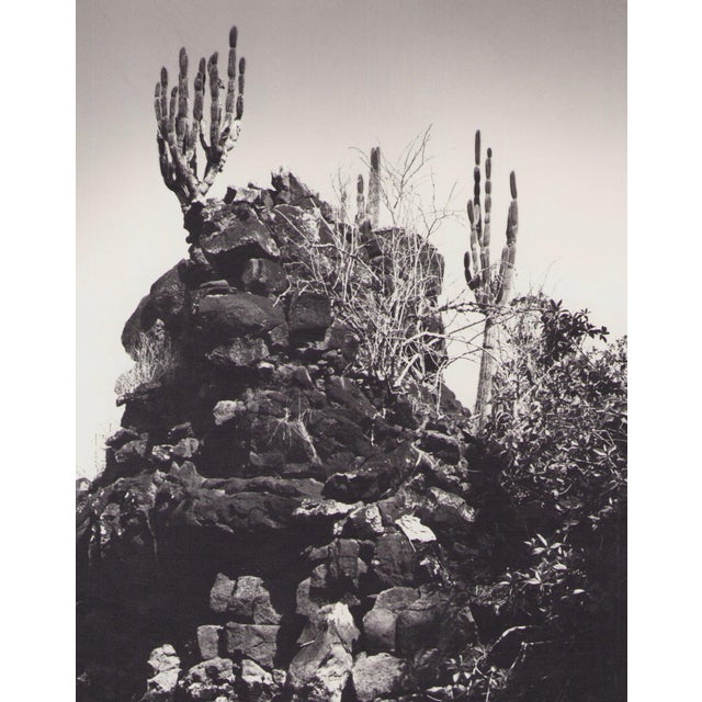 Hanna Seidel (1925 to 2005) lived and worked in Argentina for many years. She was a world traveller, journeying to South...