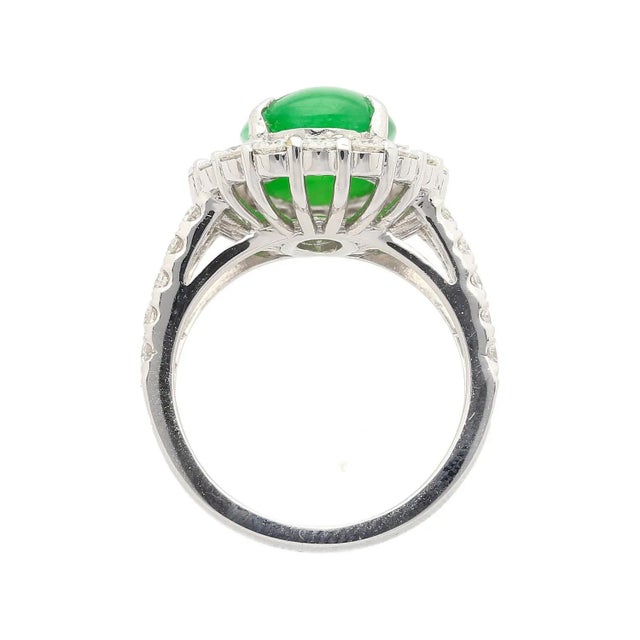 HK Lab Certified 5.329 Carat Jade and Diamond Halo Ring in 18K White Gold For Sale - Image 9 of 10