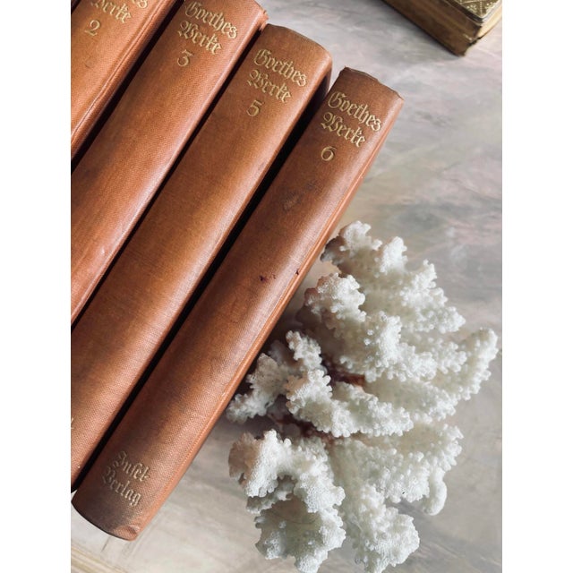 Brown Collection of 5 of Goethes Werke in German Vintage For Sale - Image 8 of 10