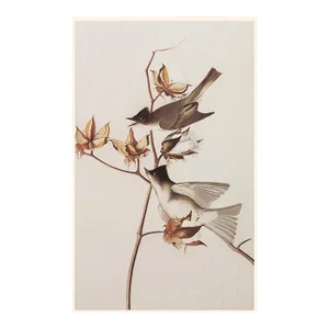 1966 Vintage Farmhouse Cottage Print "Eastern Phoebe" After John James Audubon