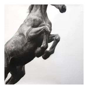 Puissance, Horse Drawing, Charcoal and Graphite on Fabriano Paper, 2016
