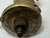 Rare Early 20th Century Asprey London Bronze Begging Scottie Dog Car Radiator Mascot For Sale - Image 14 of 18