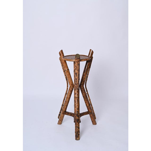 Italian Tiger Bamboo Tripod Pedestal or Plant Stand, Italy, 1950s For Sale - Image 14 of 15