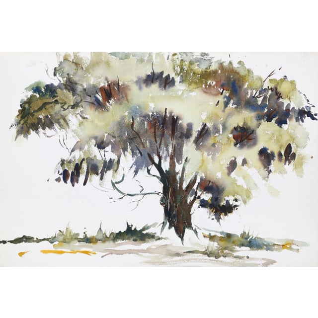 Rendered in watercolor, Eve Nethercott's portrayal of a leafy tree is filled with life. As the branches extend outward...