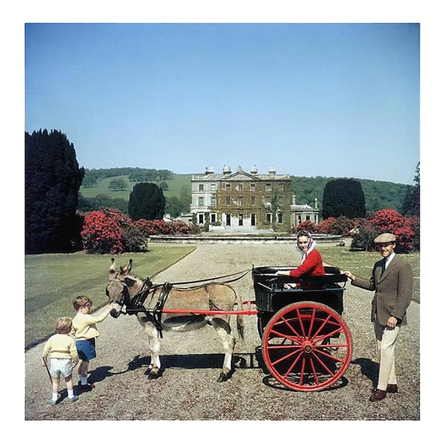 Marquess of Waterford, 1970, Limited Estate Stamped, Giant 2020 For Sale