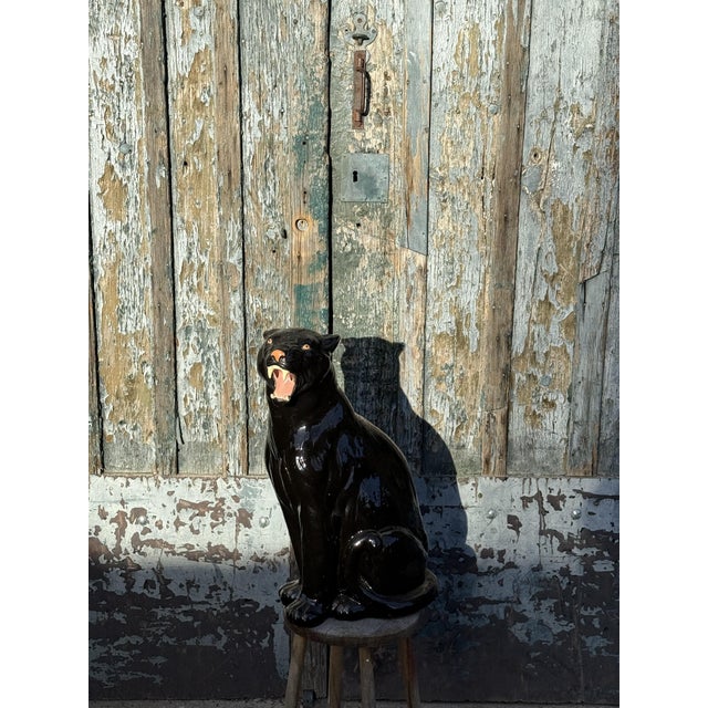 Italian Artist, Black Panther, 1960s, Terracotta For Sale - Image 12 of 13