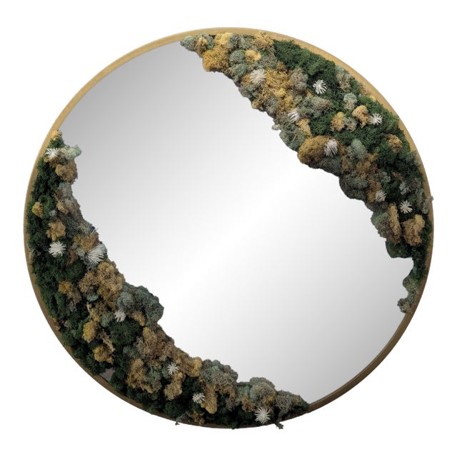 Circular Mirror With Moss Frame For Sale