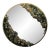Circular Mirror With Moss Frame For Sale