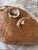Antique Mediterranean Terracotta Octopus Trap With Oyster Growth – Authentic Fisherman’s Pot For Sale - Image 10 of 14