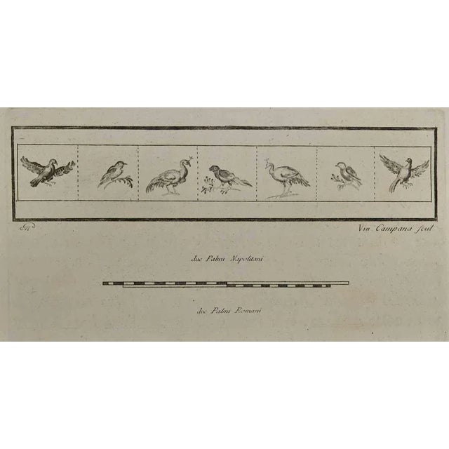 Ancient roman fresco from herculaneum , is an etching on paper realized by vincenzo campana in the 18th century. Signed on...