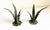 Metal Italian Tole Leaf Candle Holders, a Pair, 1960s For Sale - Image 7 of 10
