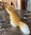Mid-Century Modern Plush Little Fox With Hazel Eyes and Bushy Tail For Sale - Image 3 of 4