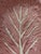 Pink ceramic cabbage leaf serving dish with light veining. Cabbage relief on interior of bowl with shinny glaze...
