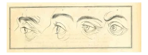 Thomas Holloway, Eyes, The Physiognomy, 1810, Etching