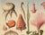 2020s Fantasy Seascape / Seaside Fine Art Print by Diane Grant Studio For Sale - Image 5 of 8