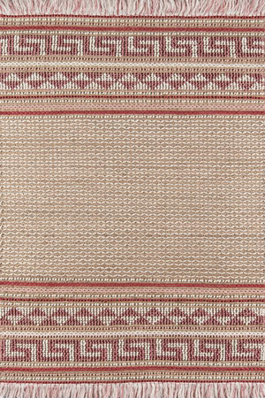 Esme Pink Hand Woven Area Rug 2' X 3'